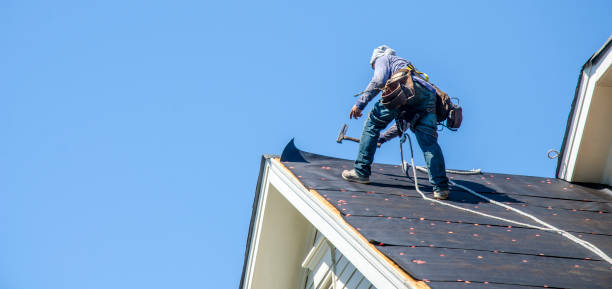 Best Roof Gutter Cleaning  in Washington, DC